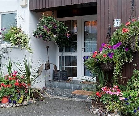 Guesthouse Topos St Austell Exterior photo